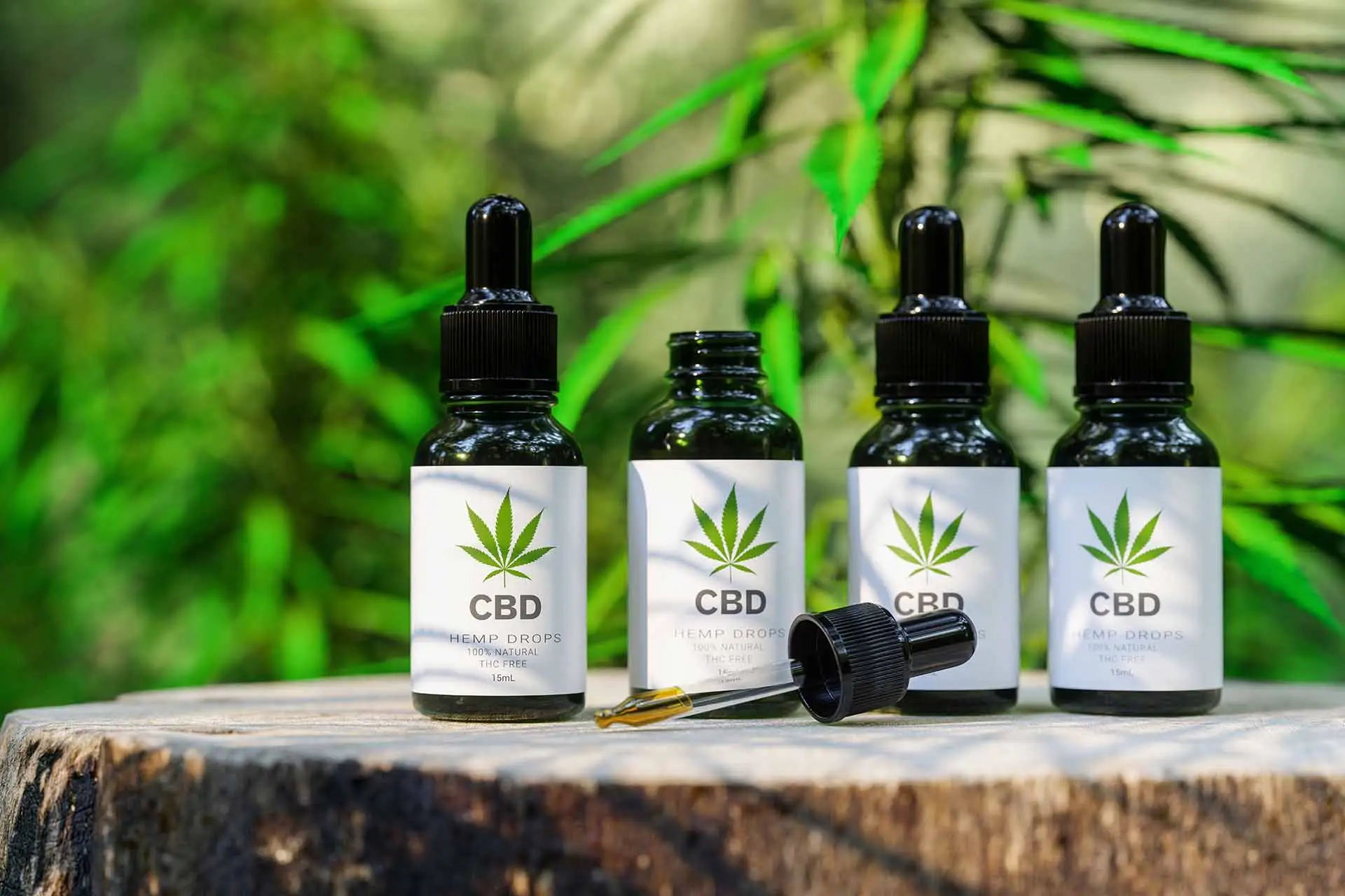 Showcasing a Starting CBD Brand