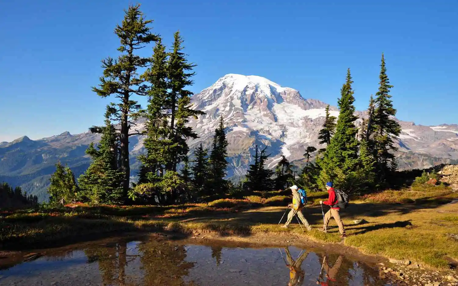 Scenic Hiking for Creative Inspiration